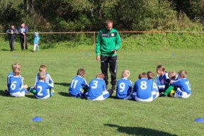 九游游戏在线玩-瑞典团队战术：从快攻到慢球的多变打法，瑞典几分钟进球